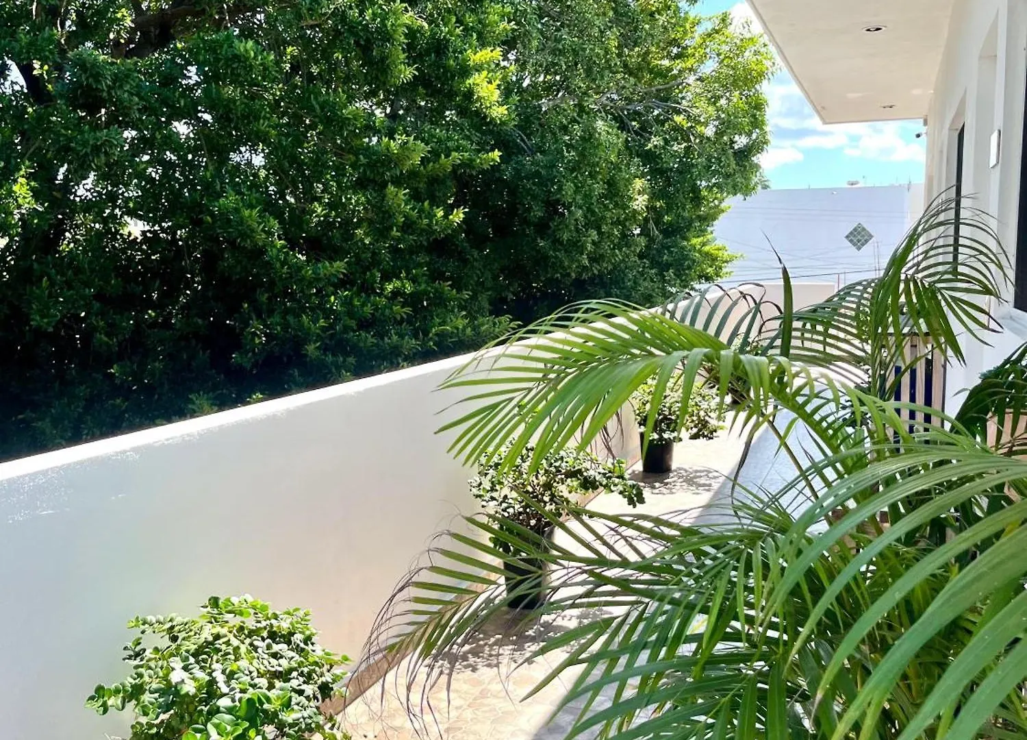 Apartment Perfect Place Cozumel - Diana Mexico